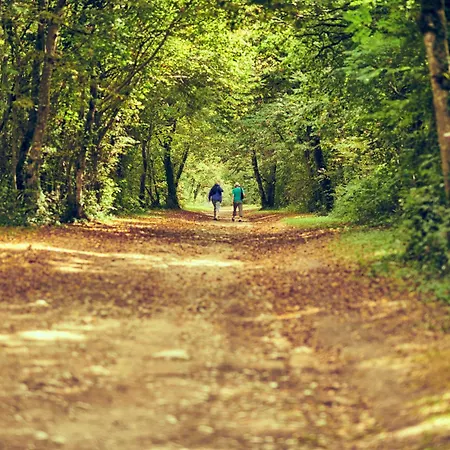 3 Avec Terrasse Calme A - Fr-1-783-48 * Saint-Romain-de-Benet